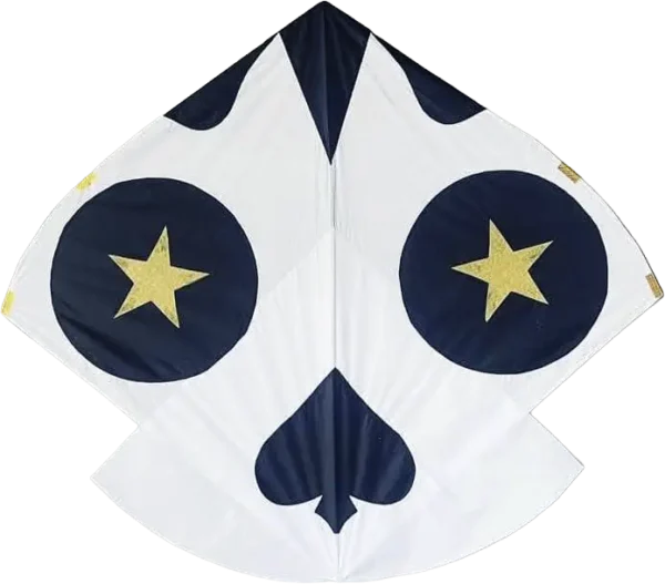 1.5 Tawa Large Gudda Kite for Basant 2026 Lahore Price in Pakistan.